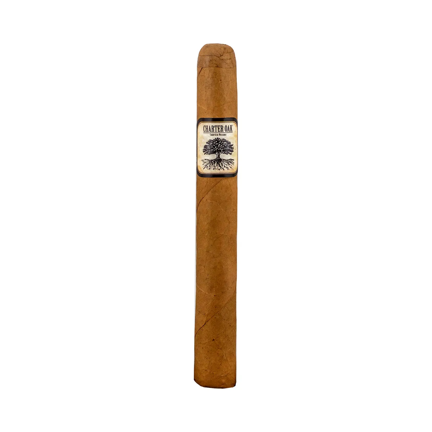 Charter Oak Connecticut Petite Corona