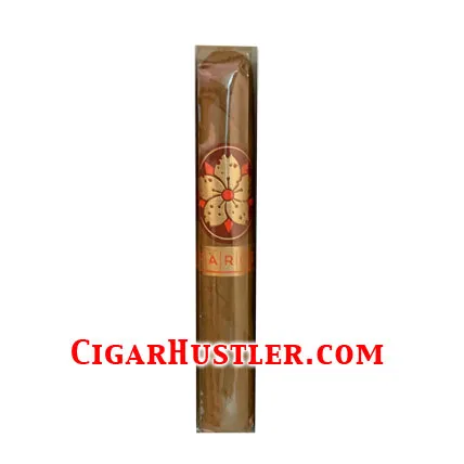 Room101 Farce Connecticut Robusto (5 x 50) Cigar