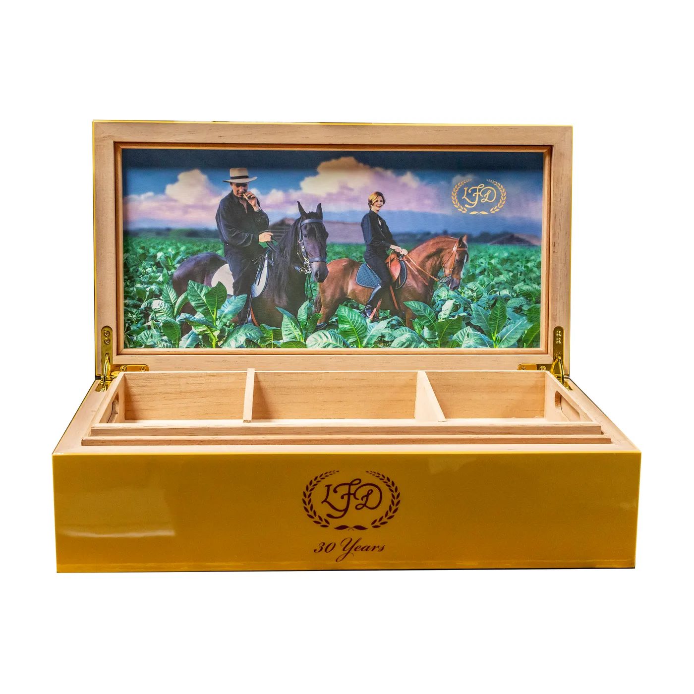 LFD 30th Anniversary Humidor cigar by Humidors